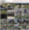 100472571_cris_v03.wmv.jpg