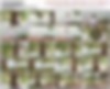 100473109_cris_v80_1080.wmv.jpg