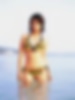 66077342_koike01_10_04.jpg