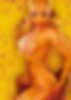 66149770_coco135.jpg