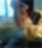 66149995_coco212.jpg