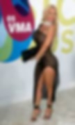 66150246_coco305.jpg