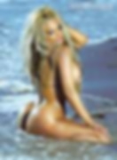 66150573_coco425.jpg