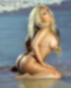 66150579_coco427.jpg