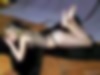 66158846_p14_00003.jpg