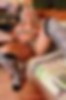 66343025_newcherry_026_050.jpg
