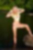 66486444_e141_047_lg.jpg
