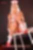 66821795_ns_cherry_113.jpg