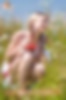 66967739_cin18.jpg