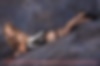 67093125_silver_starlets_anas.jpg