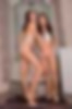 67102907_silver_starlets_vale.jpg