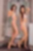67102917_silver_starlets_vale.jpg