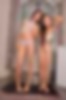 67102924_silver_starlets_vale.jpg