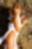 67372345_nastia_mouse_27.jpg