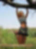 67372401_nastia_mouse_53.jpg