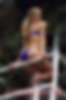 70723700_molly_37.jpg