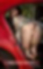 70961645_audrey013_119.jpg