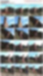 81758400_colour_clash.wmv.jpg