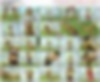 94257739_tanya_y157_dpos30min_tyrell.m.jpg