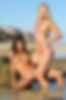 102963476_0731_ni__re_asses_3015.jpg