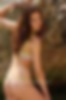 98784905_dorata_050_002.jpg