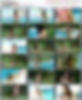 74187741_josy01.avi.jpg