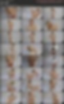 83370092_grace_model_vid_03.a.jpg