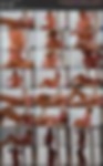 83370102_grace_model_vid_08.a.jpg