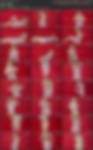 83370123_grace_model_vid_19.a.jpg