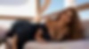 103981082_wallpapers_super_sexual_girls.jpg