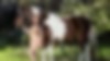 103981092_wallpapers_super_sexual_girls.jpg