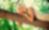 103981243_wallpapers_super_sexual_girls.jpg