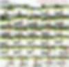 104450714_vid2pt5.wmv.jpg