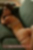 72209829_karisweets_125_36_lg.jpg