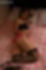 72209879_set112_57_lg.jpg
