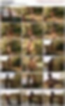 79898169_rocky_vid_018.avi.jpg
