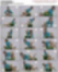 89069431_tm_sugar_007.avi.jpg