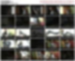 90152025_violetak16.wmv.jpg