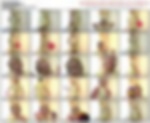 91873024_pionap08.wmv.jpg