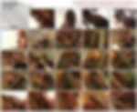 91873042_pionap12.wmv.jpg