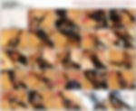 91873056_pionap15.wmv.jpg