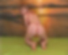 80088197_grab_040.png