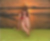 80088213_grab_044.png