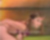 80963413_grab_046.jpg