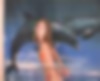 81510455_grab_024.jpg