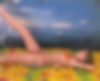 81510476_grab_043.jpg