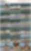 86450022_30.mp4.jpg