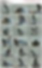 86450063_38.mp4.jpg