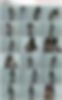 86450081_42.mp4.jpg