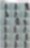 86450096_46.mp4.jpg
